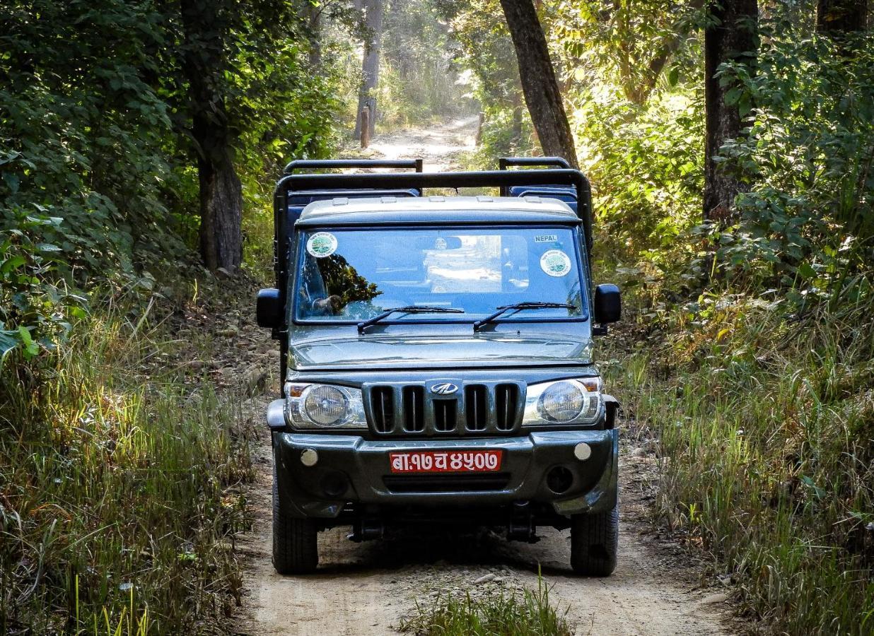 Bardia Wildlife Resort Bardiya Exterior photo
